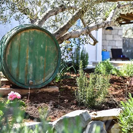 Mar 2 * Пучишча